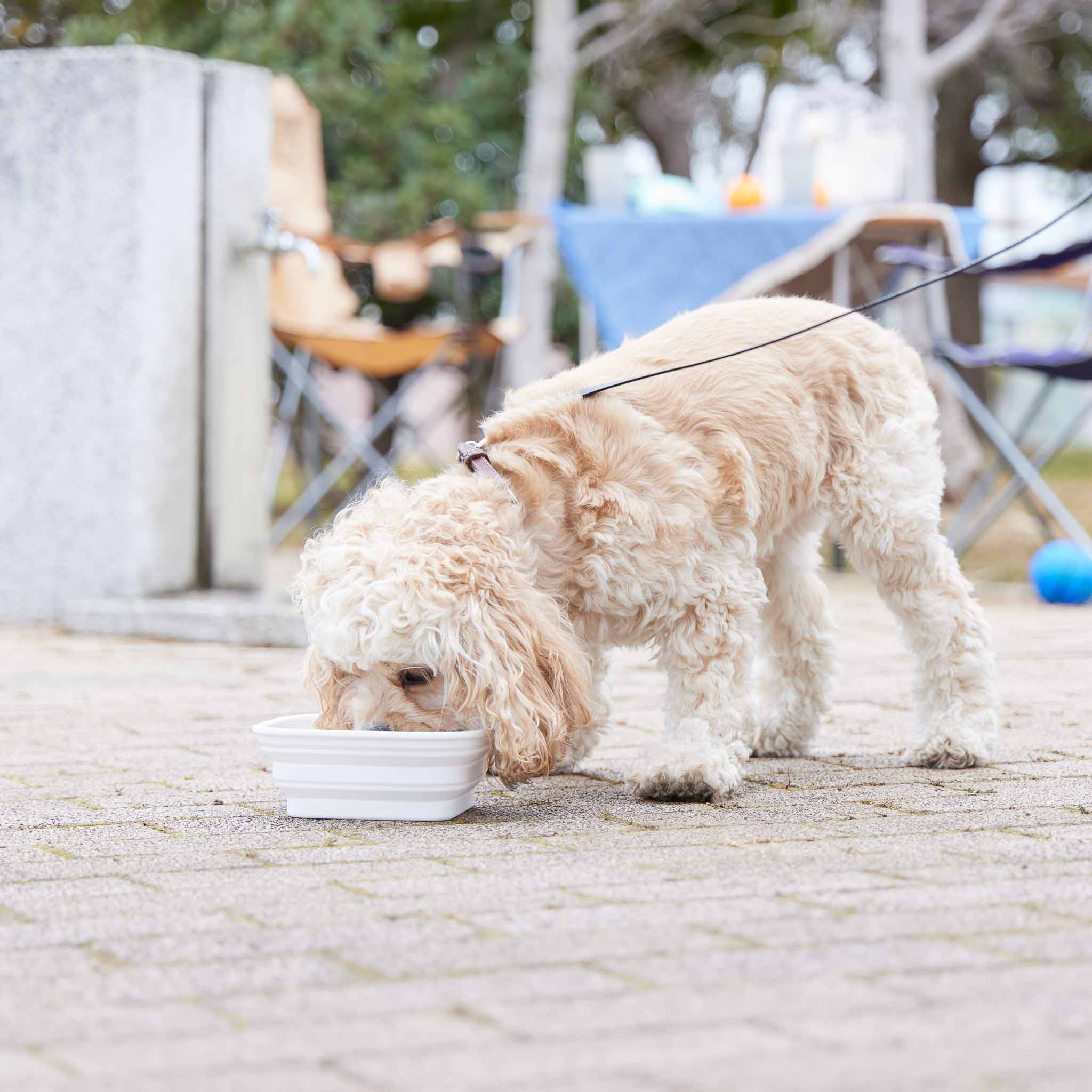 Foldable Pet Food Bowl L - Image 2