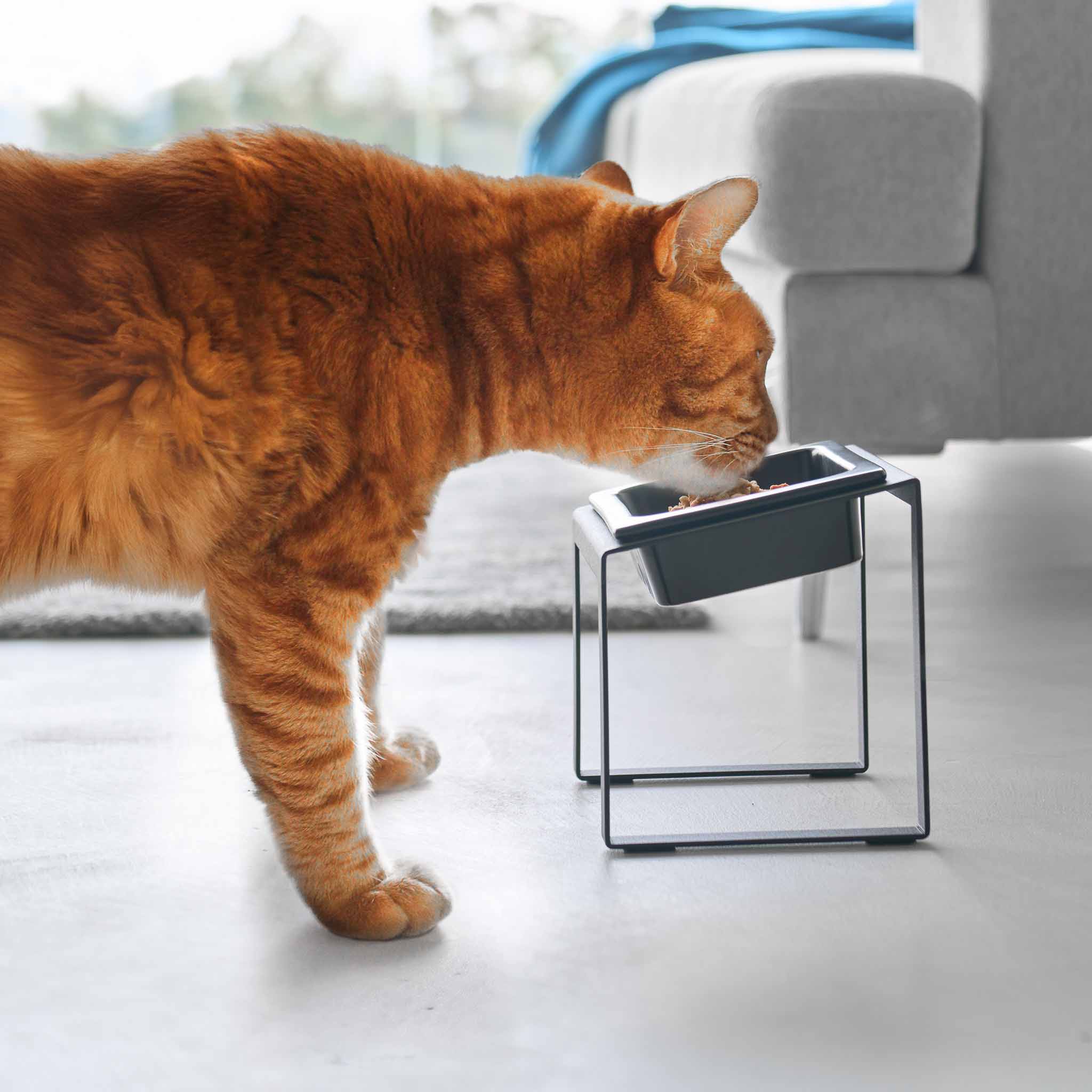 Angled Slow Feeder Pet Food Bowl Stand - Image 10