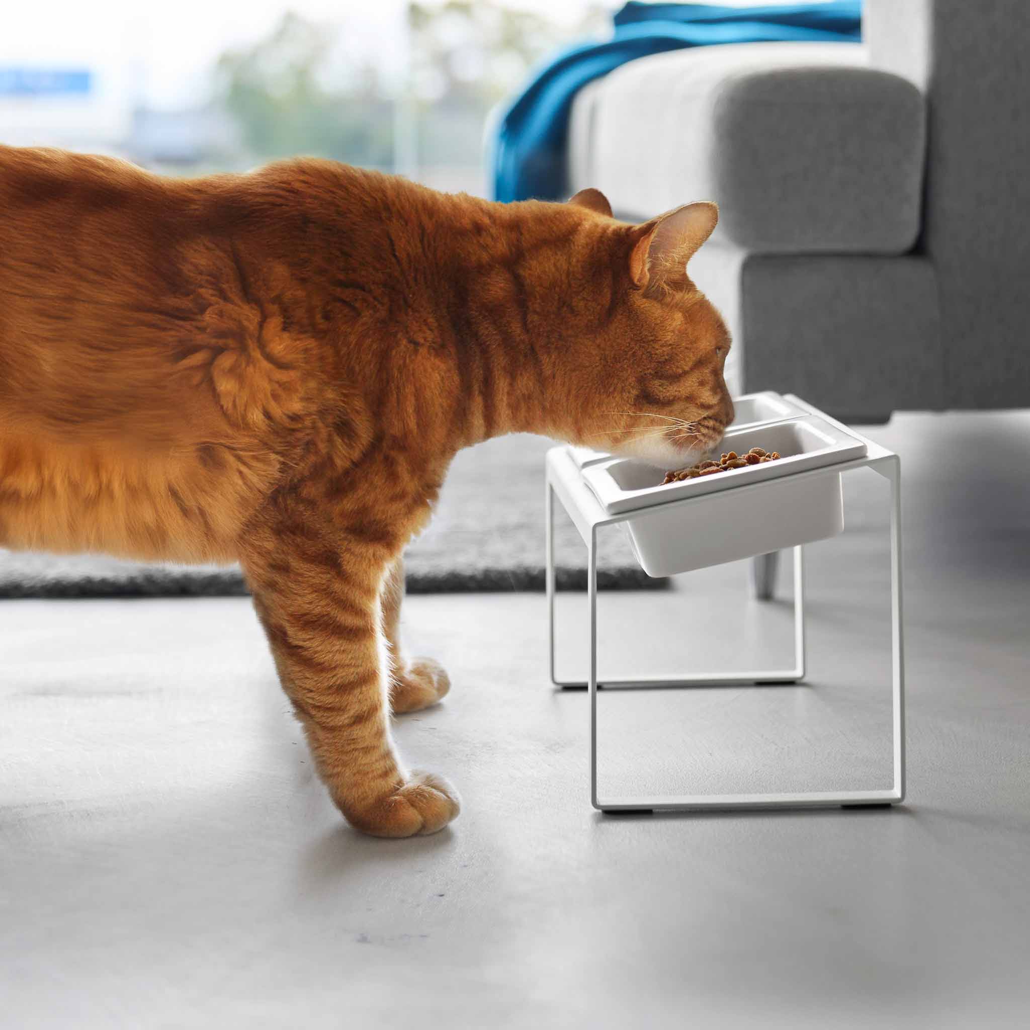 Angled Pet Food Bowls with Slow Feeder & Stand - Image 3