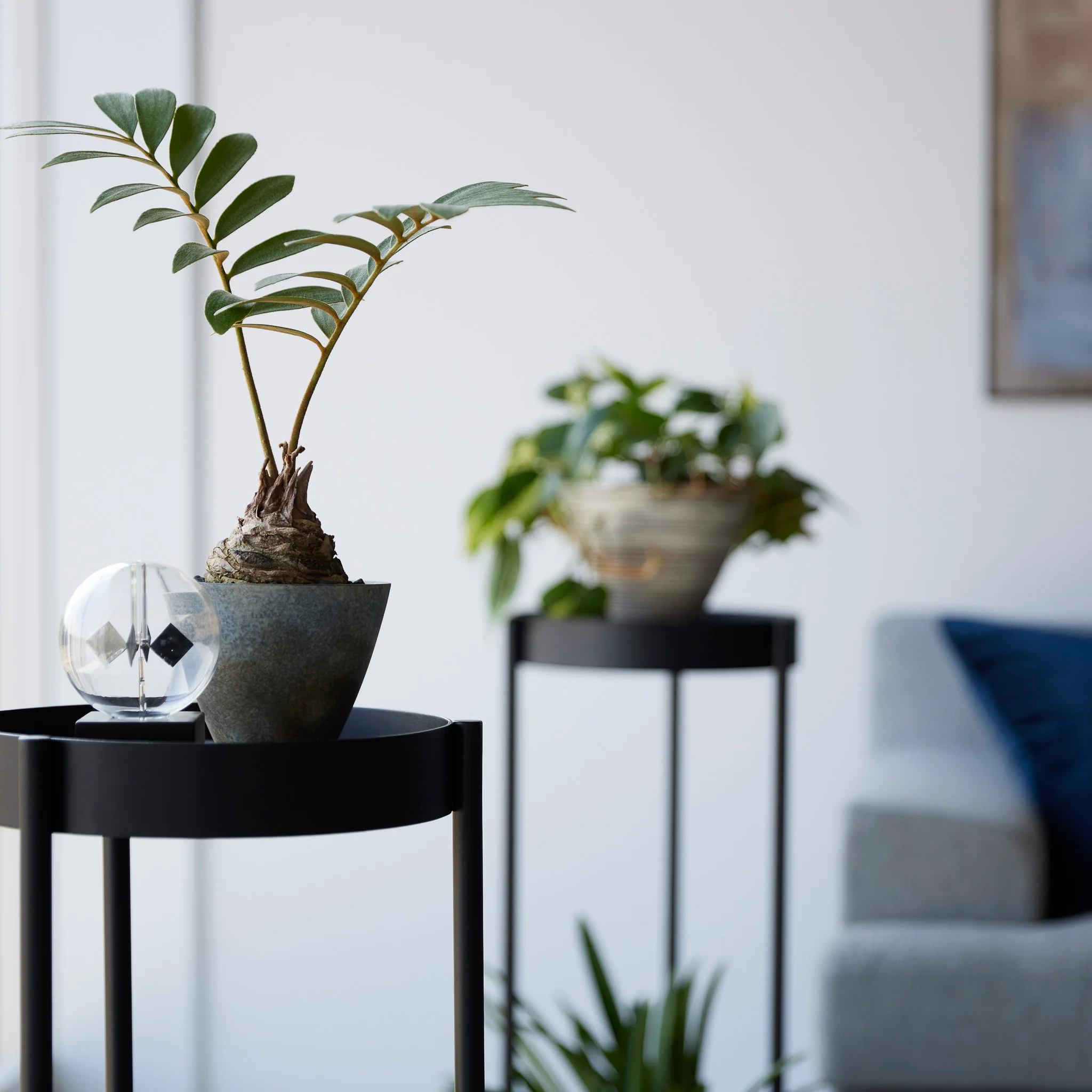 2-Tiered Plant Stand with Casters - Image 20