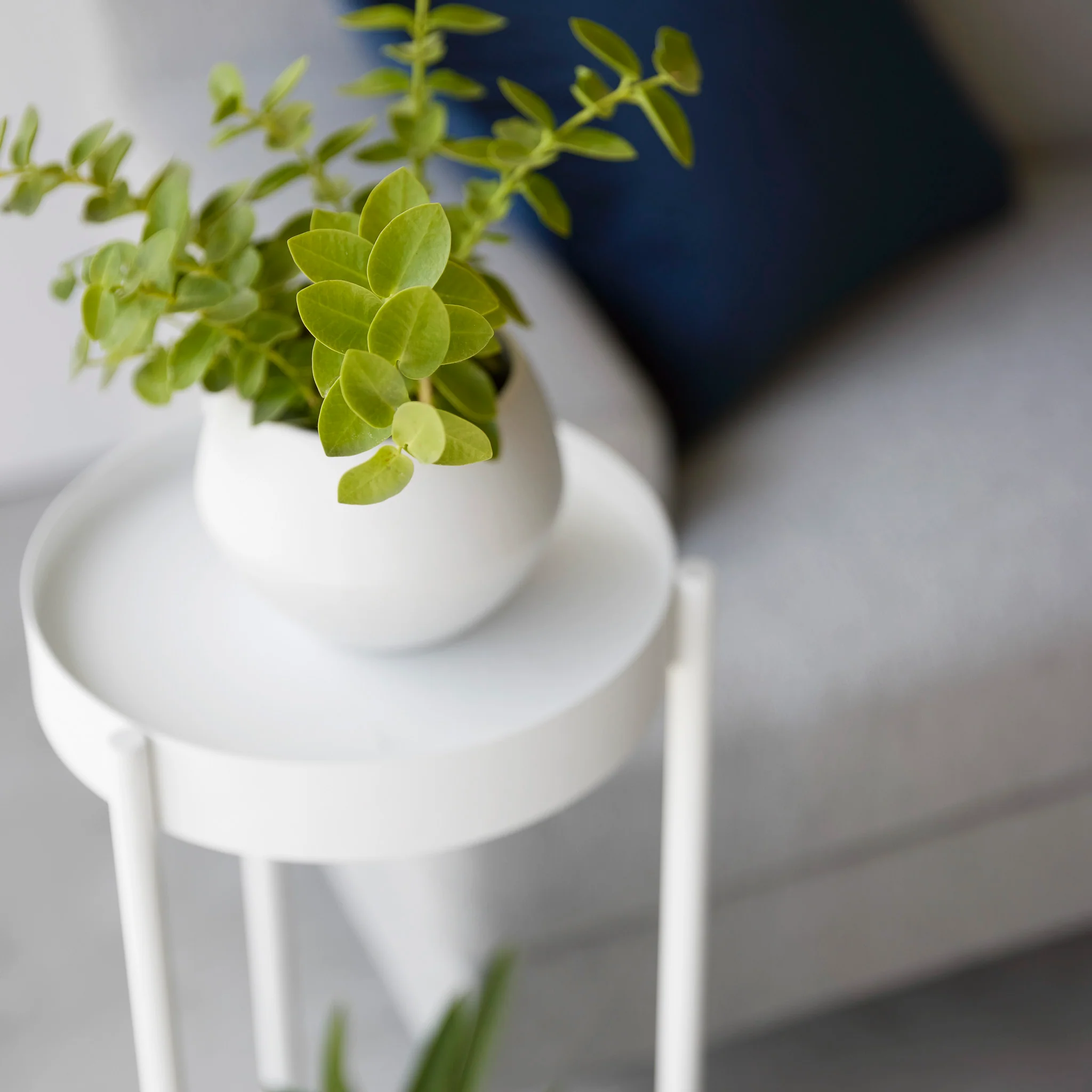 2-Tiered Plant Stand with Casters - Image 5