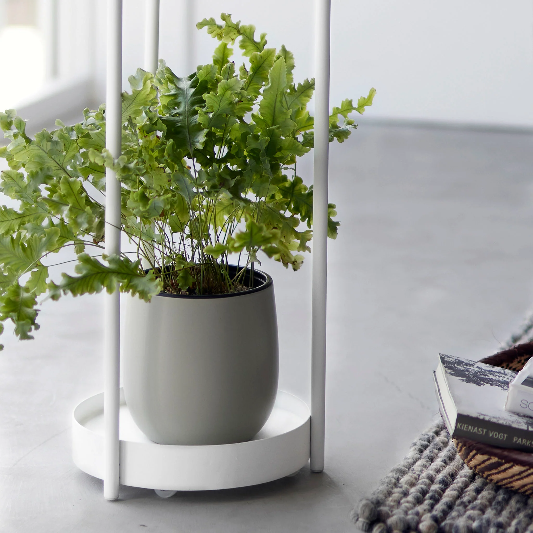 2-Tiered Plant Stand with Casters - Image 6
