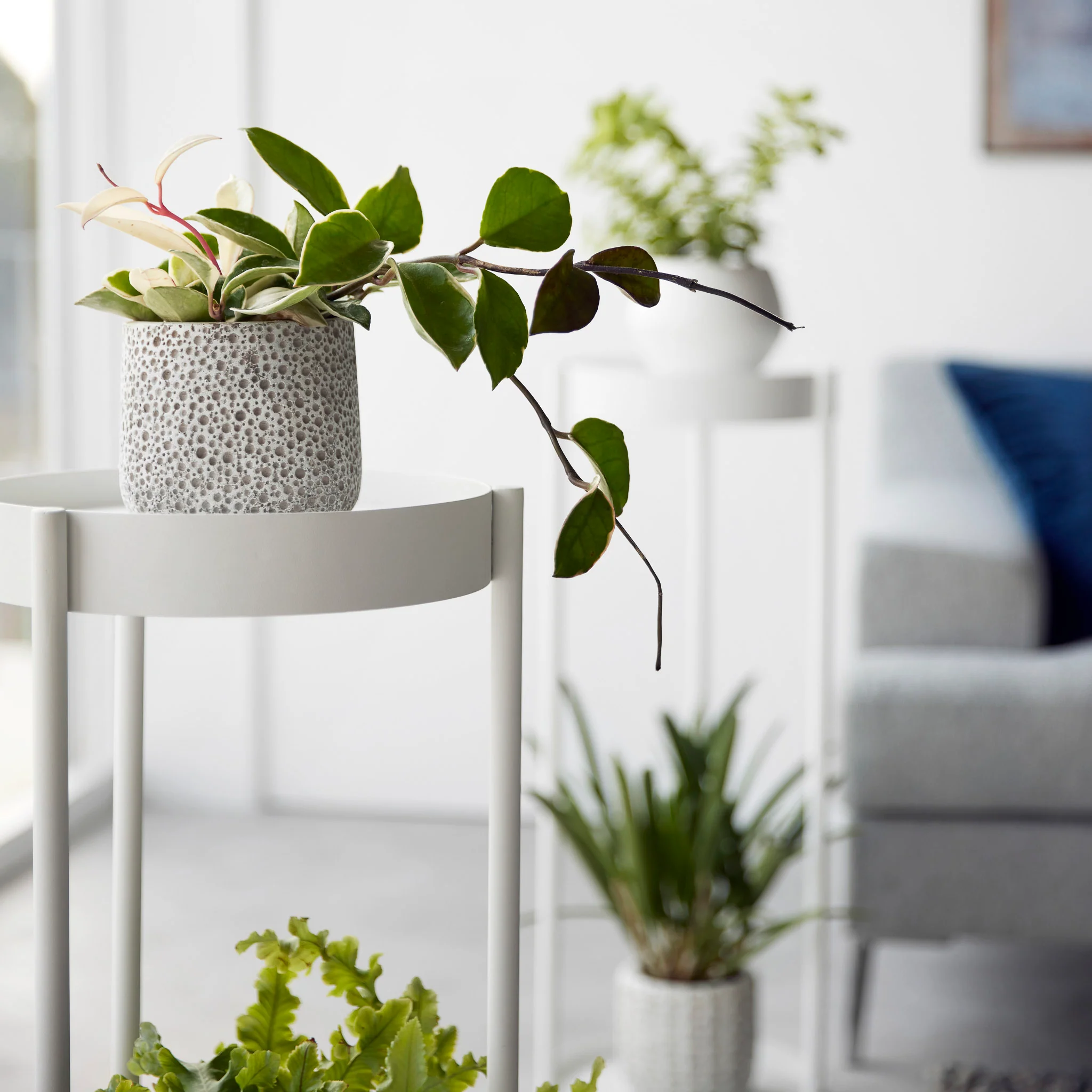 2-Tiered Plant Stand with Casters - Image 9
