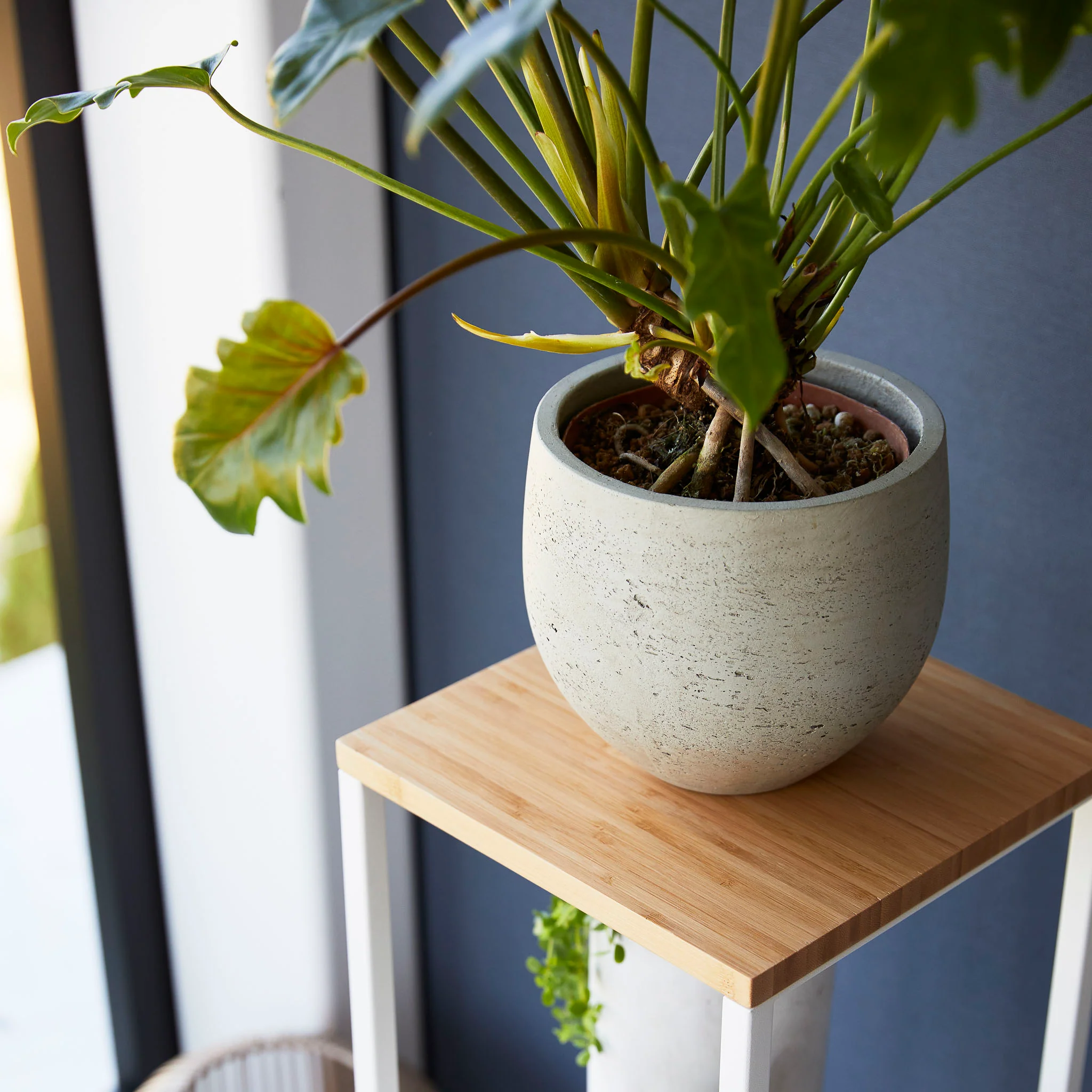 2-Tiered Wood-Top Shelf - Image 6