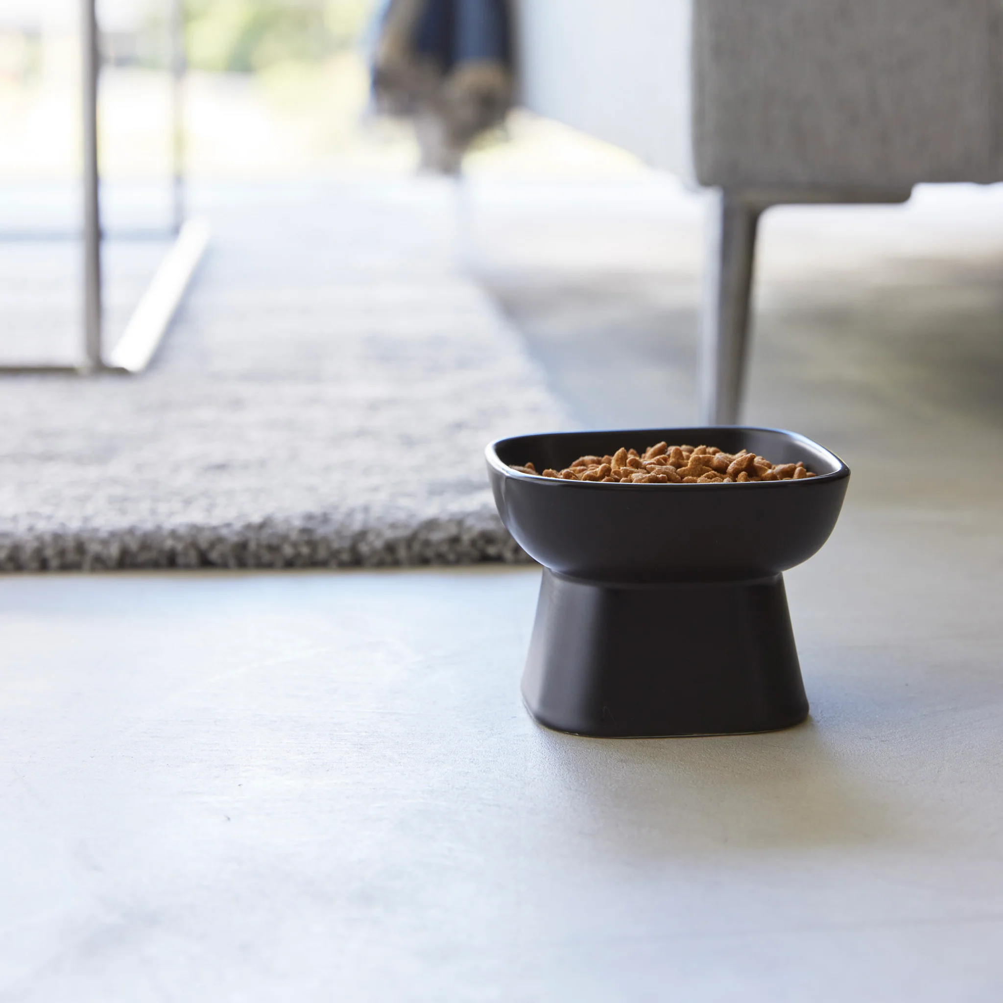 Ceramic Pet Food Bowl - Image 11