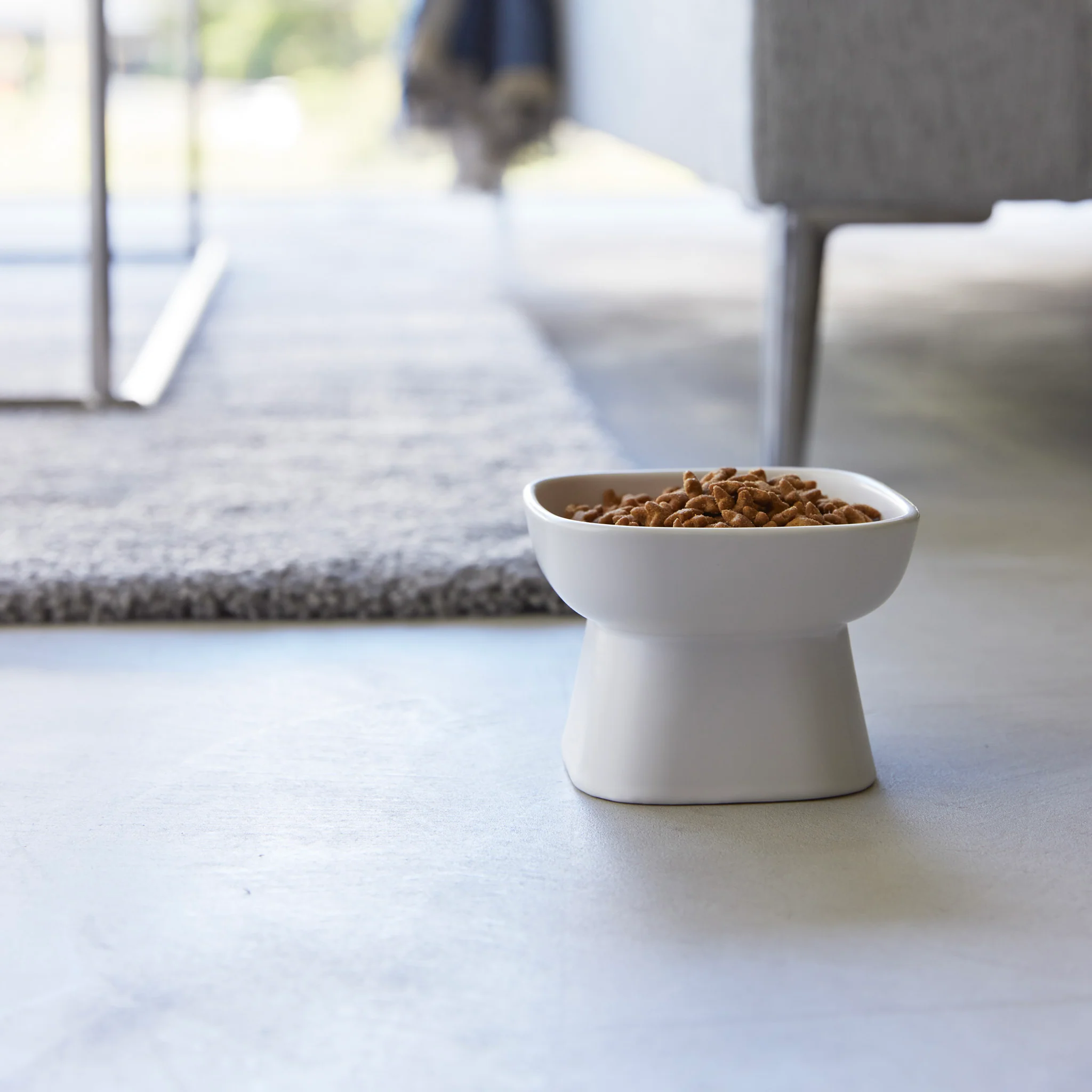 Ceramic Pet Food Bowl - Image 4