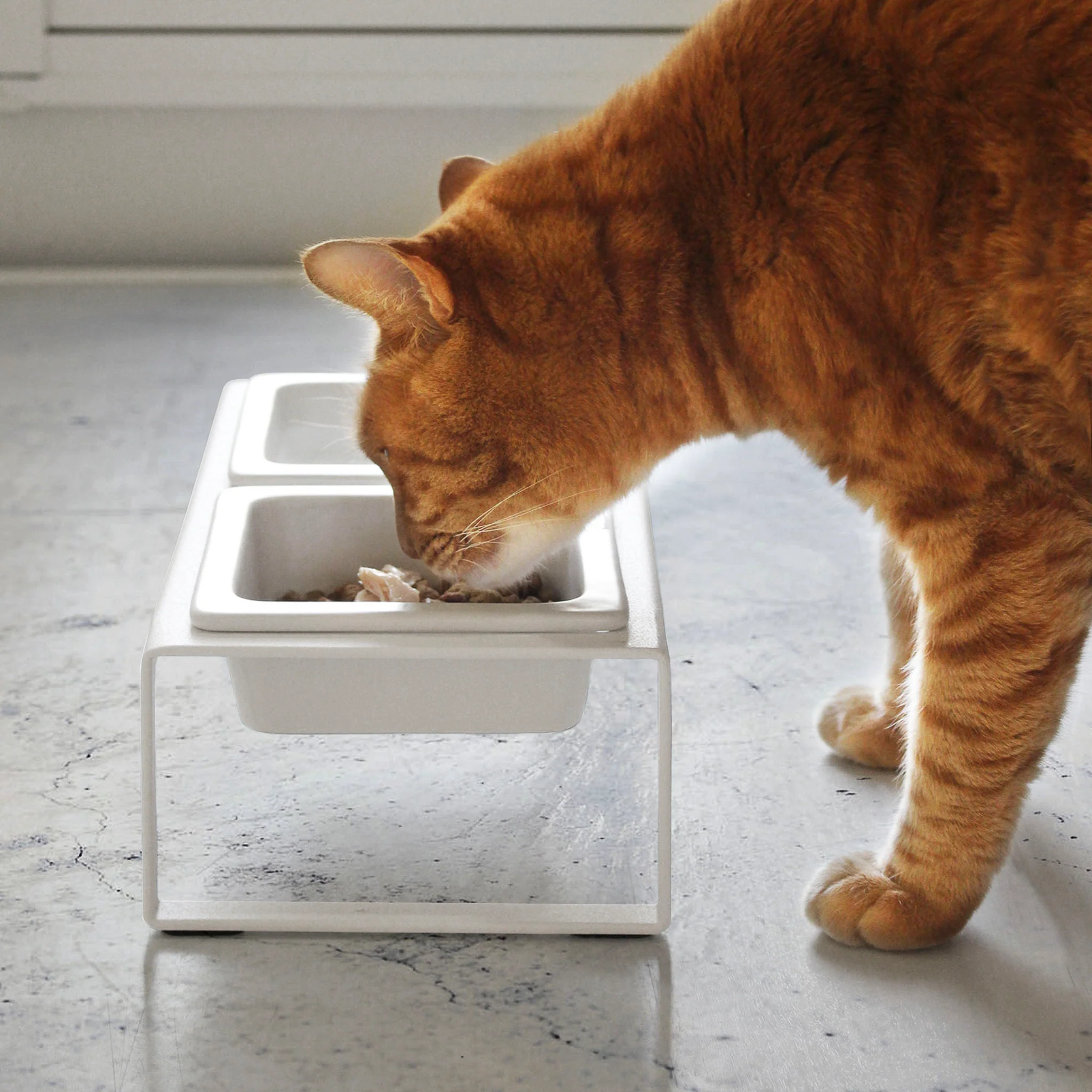 Pet Food Bowls with Stand - Image 2